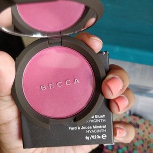 *FINAL* Becca hyacinth